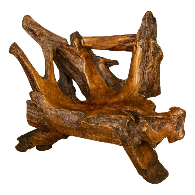 Tree Root Armchair, 1940s For Sale