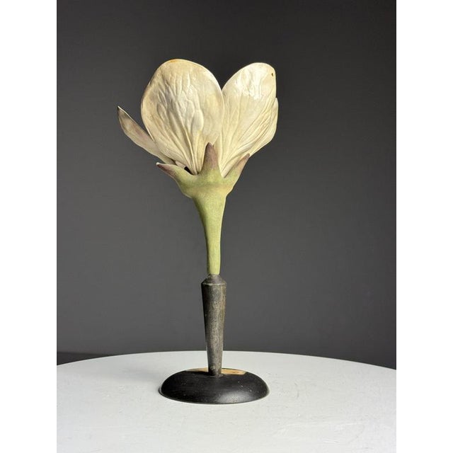 German Botanical Floral Model, 1900 For Sale - Image 6 of 18