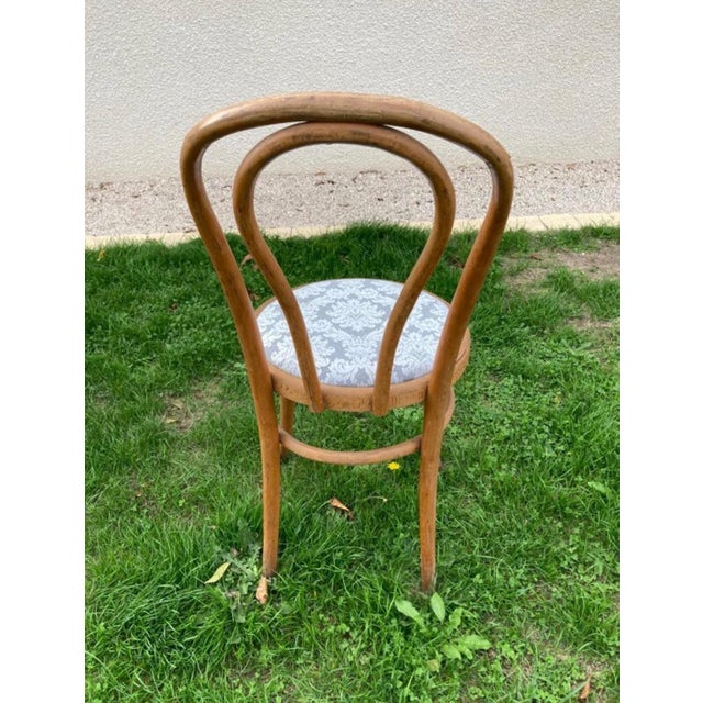 Bistro Chairs in Bent Beechwood and Damask Fabric from Fischel, 1890s For Sale - Image 6 of 10