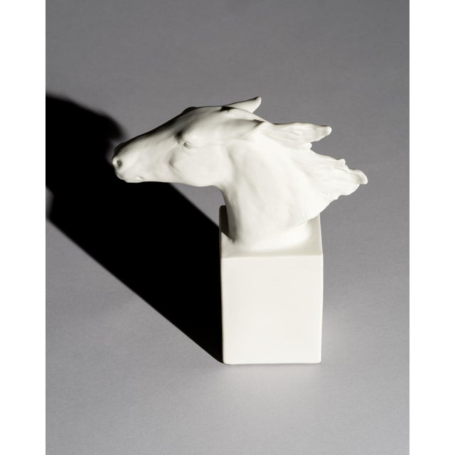 1920s Porcelain Model 1609 Hannibal Equestrian Horse Head Sculpture by Albert Hinnrich Hussmann for Rosenthal, 1920s-1940s For Sale - Image 5 of 11