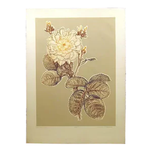 Catherine O'Connor "Southern Rose I" Hand Signed & Numbered Fine Art Etching