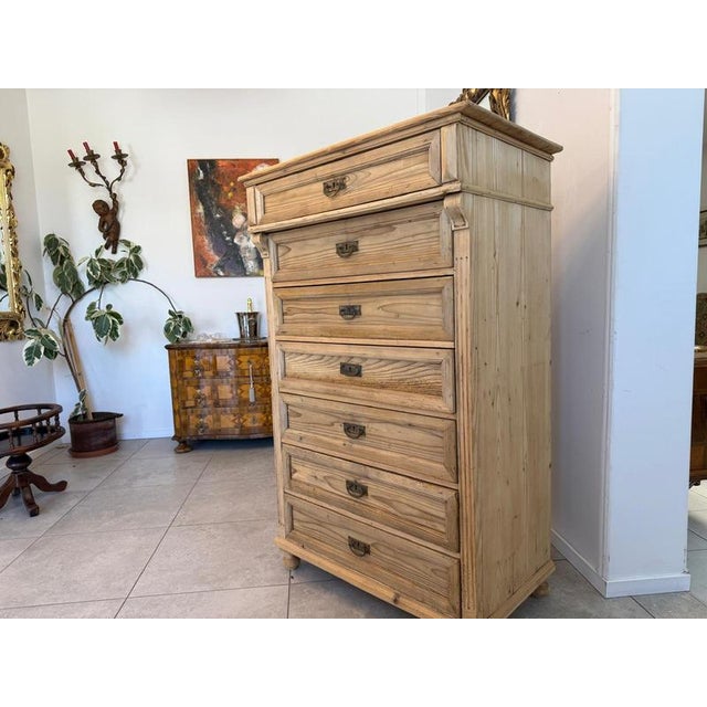 Wood Original Gründerzeit 7-Piece Shop Chest/Weekly Chest D2642 For Sale - Image 7 of 12