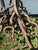 1940s Hand Forged Wrought Iron Rose Floor Candle Holder Sculpture Roots Blacksmith For Sale In Atlanta - Image 6 of 13