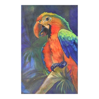 Vintage Colorful Parrot Gouache Painting For Sale