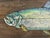 Wood Original Tarpon Fish Painting on Salvaged Wood Planks For Sale - Image 7 of 7