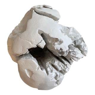 Teak Root Ball For Sale