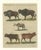 Antique Indian Cattle, Buffalo & Musk Ox Engraving from Bertuch, 1796 For Sale - Image 3 of 10