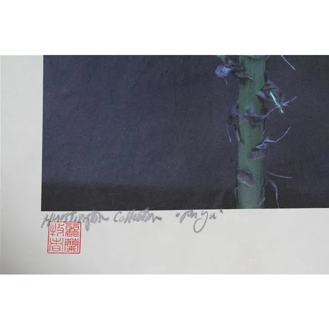 Contemporary Paya, Jonathan Singer Digital Photo on Japon Paper, Signed For Sale - Image 3 of 3