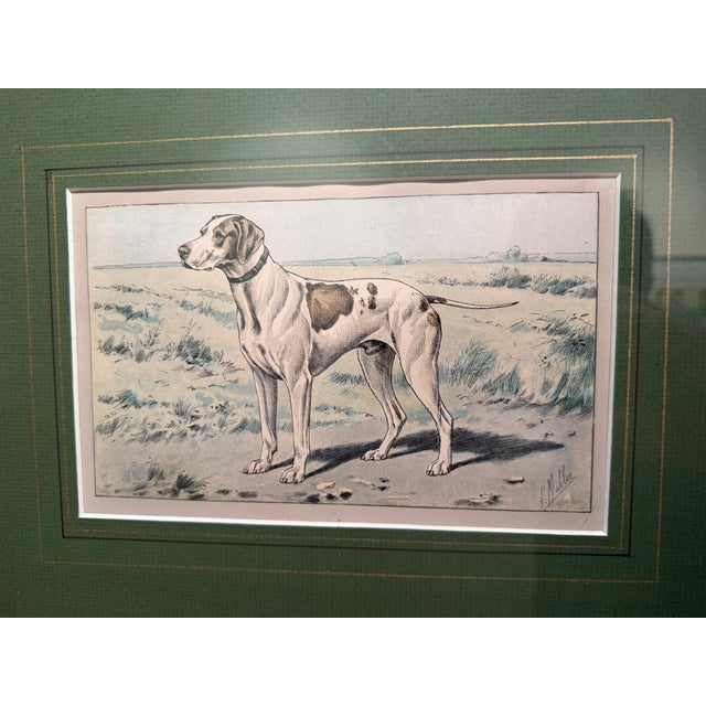 An original chromolithograph of an attractive Pointer standing alert in an open field, signed "P. Mahler" in the stone at...