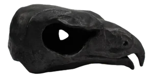 2016 Black Painted Terracotta Hawk Skull Sculpture by Darla Jackson