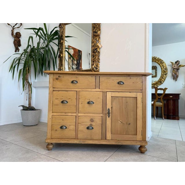 Art Nouveau Shop Chest in Spruce Softwood, 1890s For Sale - Image 12 of 12