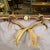 Antique Black Forest Mirror With Antler Arrangement Ca. 1920s For Sale - Image 4 of 8