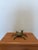 Mid-Century Modern Mid-Century Bronze Crab Sculpture With Hinged Top, Brazil 1960s For Sale - Image 3 of 15