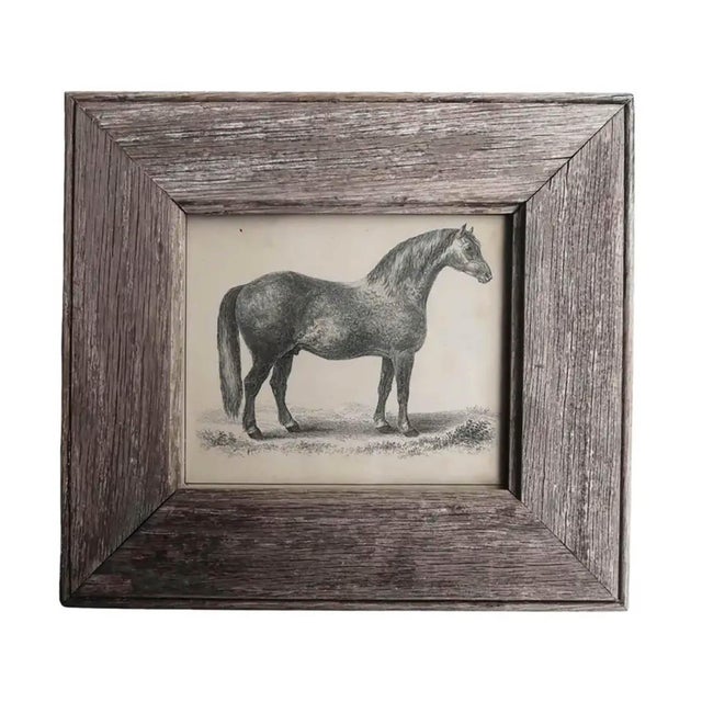 After Stubbs, Grey Racehorse, 1847, Lithograph, Framed For Sale - Image 4 of 4
