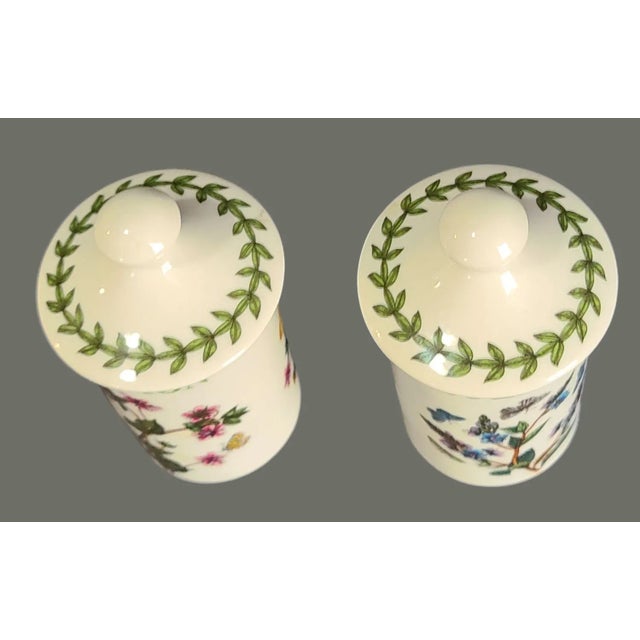 Pair of Vintage Portmeirion Botanic Garden Spice Jars Cinnamon & Peppercorn For Sale - Image 4 of 6