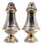 Silver Salt and Pepper Shakers with Engravings, Set of 2 For Sale