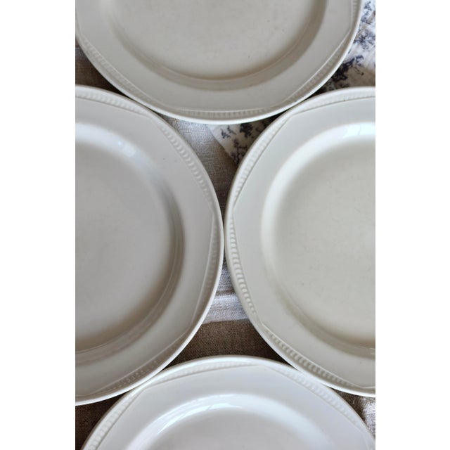 This set of 4 white English porcelain dessert plates features an elegant beaded border around the rim. Their simple and...