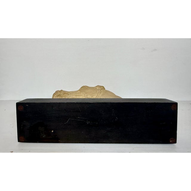 Mid 20th Century Horse Head Casted Sculpture For Sale - Image 9 of 12