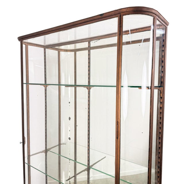 Large Antique Metal Museum Display Cabinet with Curved Glass, 1890s For Sale - Image 4 of 18