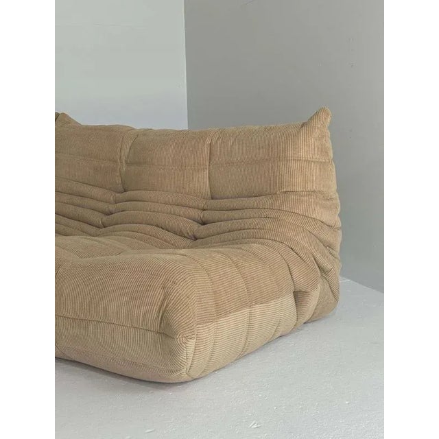 Brown Togo Sofas from Ligne Roset, Set of 3 For Sale - Image 4 of 12