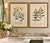 An exquisite pair of original 18th-century hand-colored botanical copper plate engravings from Phytanthoza Iconographia...