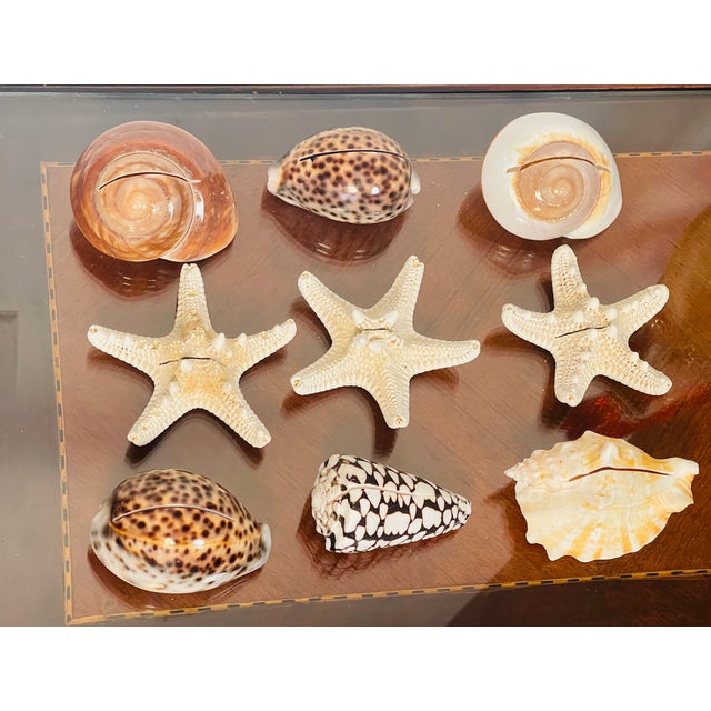 9 PCS Vintage Coastal Sea Shell Place Cards Holders for Weddings, Parties For Sale - Image 4 of 6