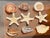 9 PCS Vintage Coastal Sea Shell Place Cards Holders for Weddings, Parties For Sale - Image 4 of 6