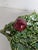 Boho Chic Vintage Portuguese Majolica Cabbage Leaf Serving Dish With Plum Handle For Sale - Image 3 of 6