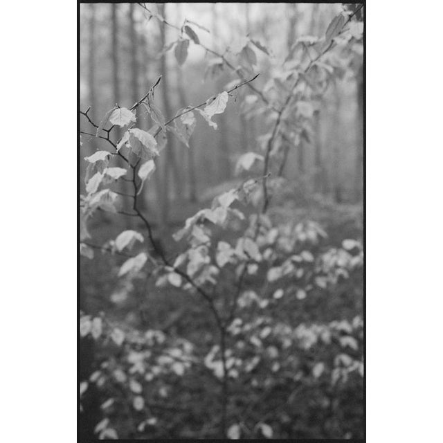 Not Yet Made - Made To Order Paul Cooklin, Scan 20211222 77, Edition of 50 For Sale - Image 5 of 5