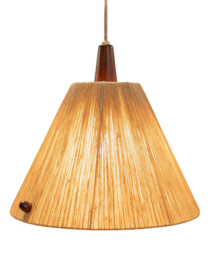 Hanging Lamp from Temde Leuchten