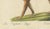 Early 19th Century Karl Joseph Brodtmann, Mastiff Dog, 1816, Lithograph For Sale - Image 5 of 9