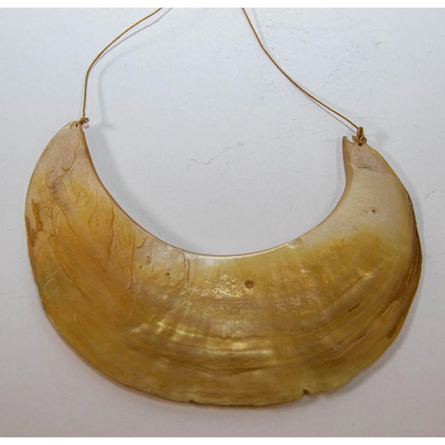 Early 20th Century Antique Ethnic Tribal Kina Crescent Shell Necklaces Papua New Guinea Set of 3 For Sale - Image 5 of 12