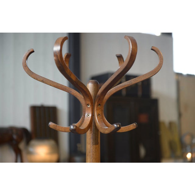 Vintage Parrot Coat Rack from Baumann, 1970s, in Very Good conditions. Designed 1970 to 1979 I have official proof of...