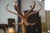 Vintage Parrot Coat Rack from Baumann, 1970s, in Very Good conditions. Designed 1970 to 1979 I have official proof of...