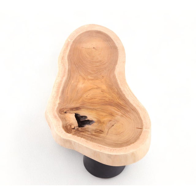 Double Ring Living Edge Coffee Table 17 | Chairish