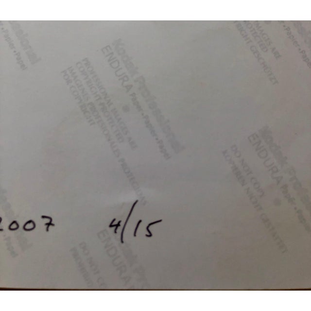 Peter C. Jones 1, Gray Afternoon, Large Format Flower Photo 24X20 Color Photograph Beach House, 2005 For Sale - Image 4 of 6