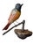 Wood Carved Austrian Bird Vintage #66 For Sale - Image 4 of 4