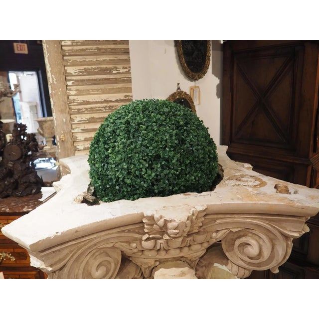 Large Plaster Composite Order Capital on Wooden Pedestal, France, Early 1900s For Sale - Image 12 of 13