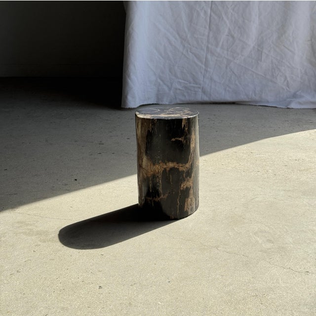 Small Side Table in Black Petrified Wood with Beige Striations, 1980s For Sale - Image 9 of 18