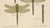 Green Dragonflies of Central Europe, 1908, Lithograph, Set of 3 For Sale - Image 8 of 14
