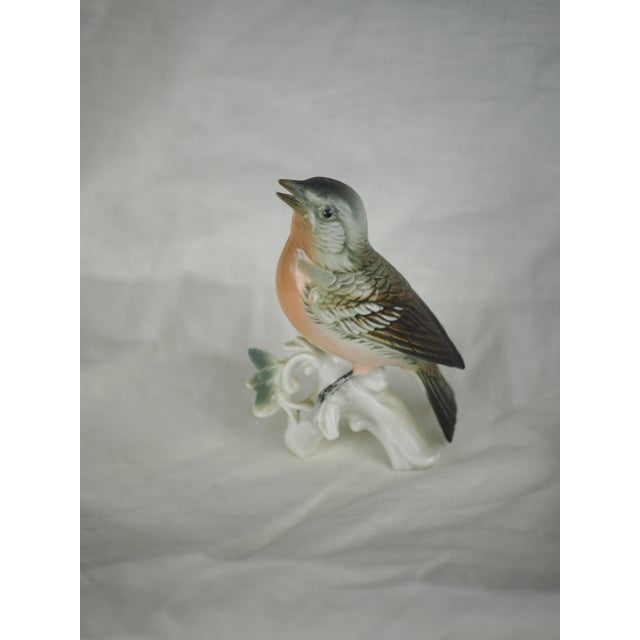 Mid 20th Century Mid-Century German Karl Ens Common Redstart Porcelain Figurine For Sale - Image 5 of 8