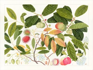 Golden Tropic Botanicals Plate #6, Giclée Print