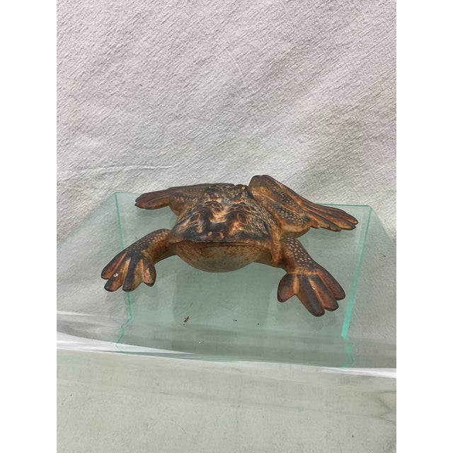 This adorable frog has well defined head, eyes, and skin with frog like dimples and bumps. He has been outside a bit and...