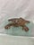 This adorable frog has well defined head, eyes, and skin with frog like dimples and bumps. He has been outside a bit and...