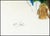 Leroy Neiman 2005 Polo Panorama Modern Green Serigraph LeRoy Neiman For Sale - Image 4 of 5
