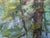Nancy Paris Pruden "Cypress Creek" Contemporary Naturalistic River Landscape Nature Painting, 2020s For Sale - Image 9 of 10