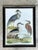 Vintage Audubon Print of Three Birds For Sale In West Palm - Image 6 of 12