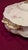 French porcelain covered serving dish produced by Haviland & Co. in Limoges, France, featuring a delicate pink floral...