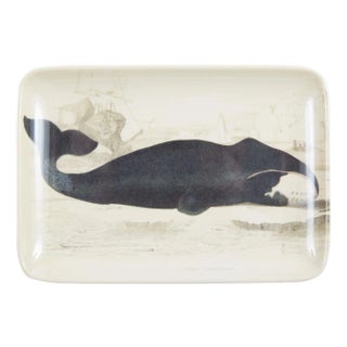 Baleen Whale Valet Tray For Sale