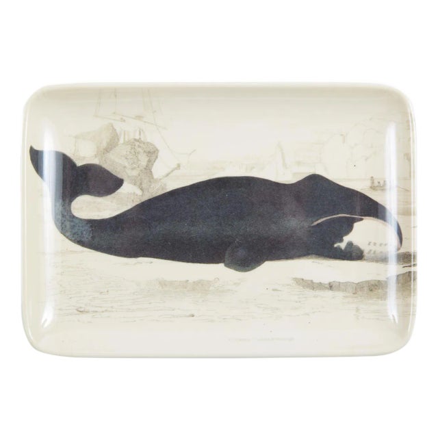 Baleen Whale Valet Tray For Sale